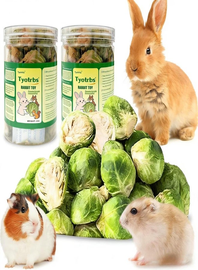 Tyotrbs Freeze Dried Brussels Sprouts Rabbit and Hamster Chew Treats Resealable Jar for Hamsters Bunny Guinea Pigs Groundhogs Natural Fiber Vitamin Snacks Hamsters, Chinchillas (L/ 4.24oz) - Image 1